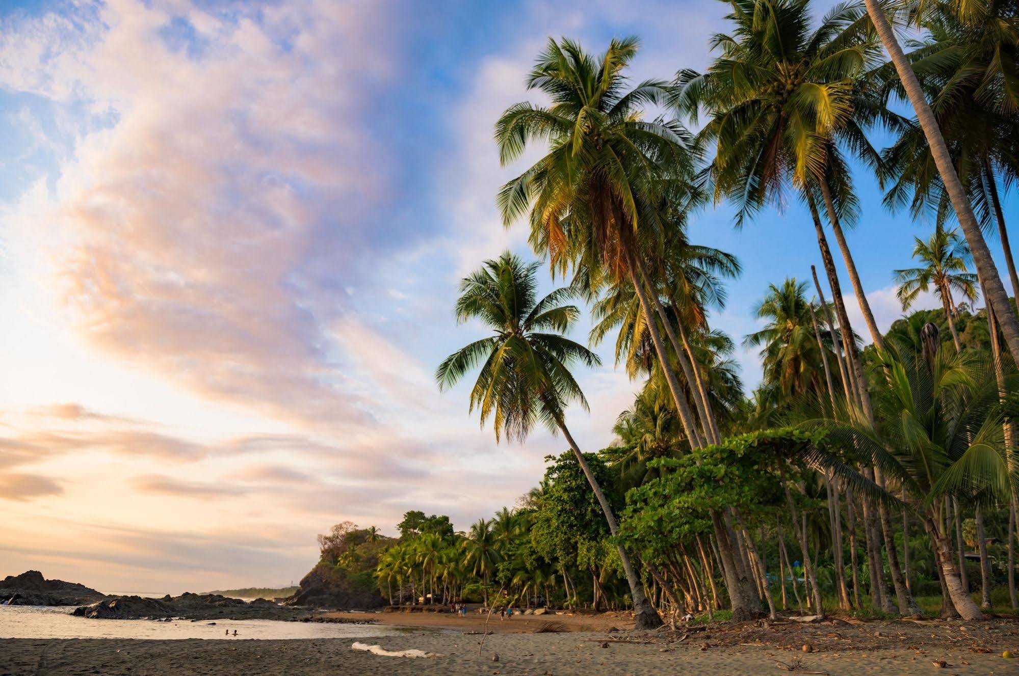 Tiki Villas Rainforest Lodge & Spa Увита Экстерьер фото