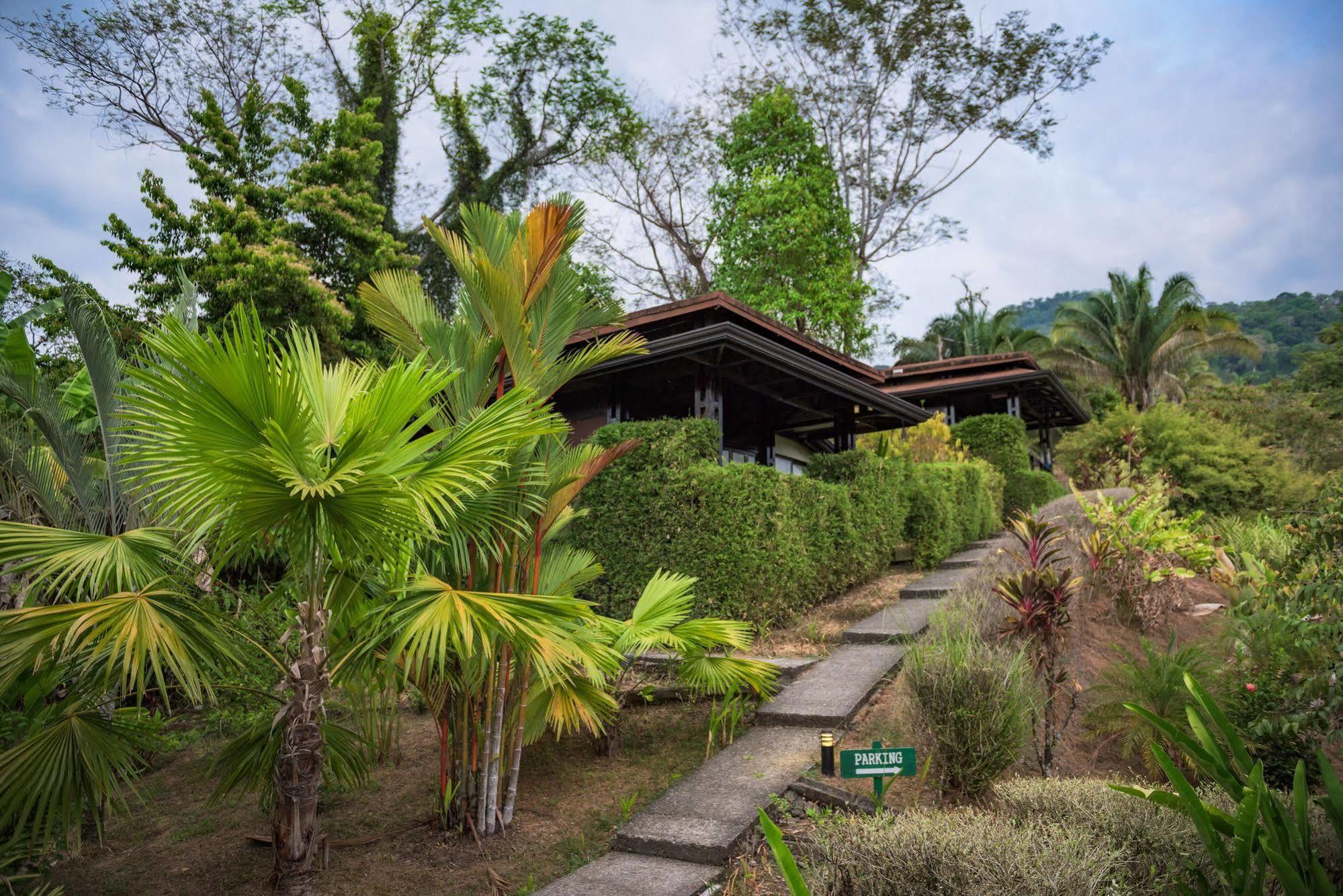 Tiki Villas Rainforest Lodge & Spa Увита Экстерьер фото