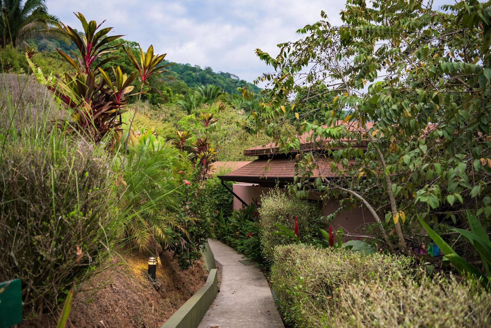 Tiki Villas Rainforest Lodge & Spa Увита Экстерьер фото