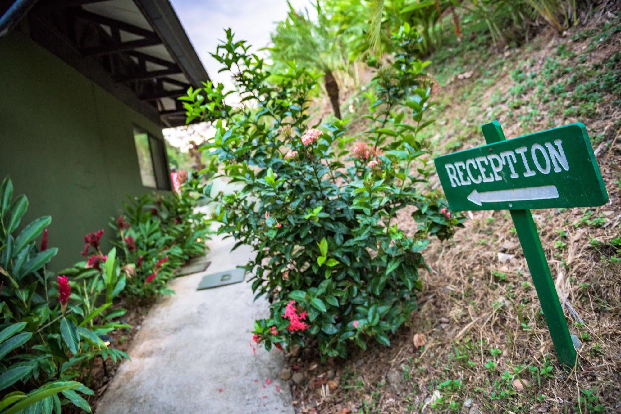 Tiki Villas Rainforest Lodge & Spa Увита Экстерьер фото